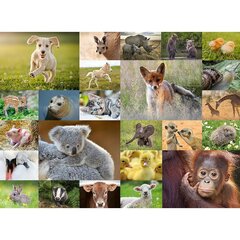 Ravensburger puzle 200gb. Dzīvnieku mazuļi cena un informācija | Puzles, 3D puzles | 220.lv