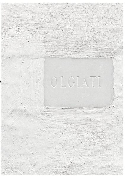 Dado: Built and Inhabited by Rudolf Olgiati and Valerio Olgiati цена и информация | Grāmatas par arhitektūru | 220.lv