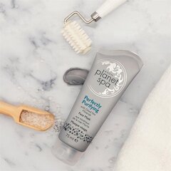 PLANET SPA Sejas maska ​​ar Nāves jūras minerāliem, 75ml, AVON cena un informācija | Sejas maskas, acu maskas | 220.lv