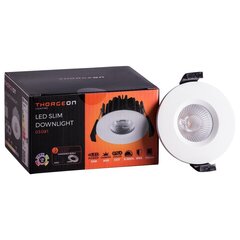 Thorgeon LED Griestu lampa 10W RAL9003 цена и информация | Монтируемые светильники, светодиодные панели | 220.lv