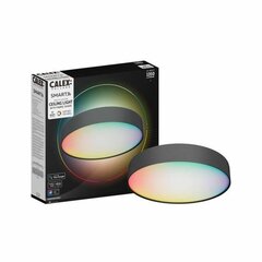 Потолочный светильник Calex RGB Металл (1) цена и информация | Потолочные светильники | 220.lv