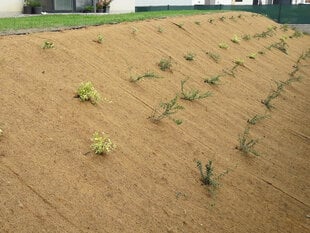 Kokosšķiedras preterozijas tīkls. Rullis 1 x 10 m (10 m2) cena un informācija | Žogi un piederumi | 220.lv