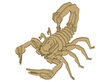 3D koka telpiskā puzle Lean Toys skorpions, 35 gab. cena un informācija | Puzles, 3D puzles | 220.lv