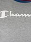 Champion T-krekls vīriešiem 212688, pelēks - cena un informācija | Vīriešu T-krekli | 220.lv