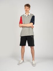 Champion polo krekls vīriešiem 214361, pelēks цена и информация | Мужские футболки | 220.lv