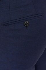 Auduma bikses Jack&Jones, zilas cena un informācija | Vīriešu bikses | 220.lv