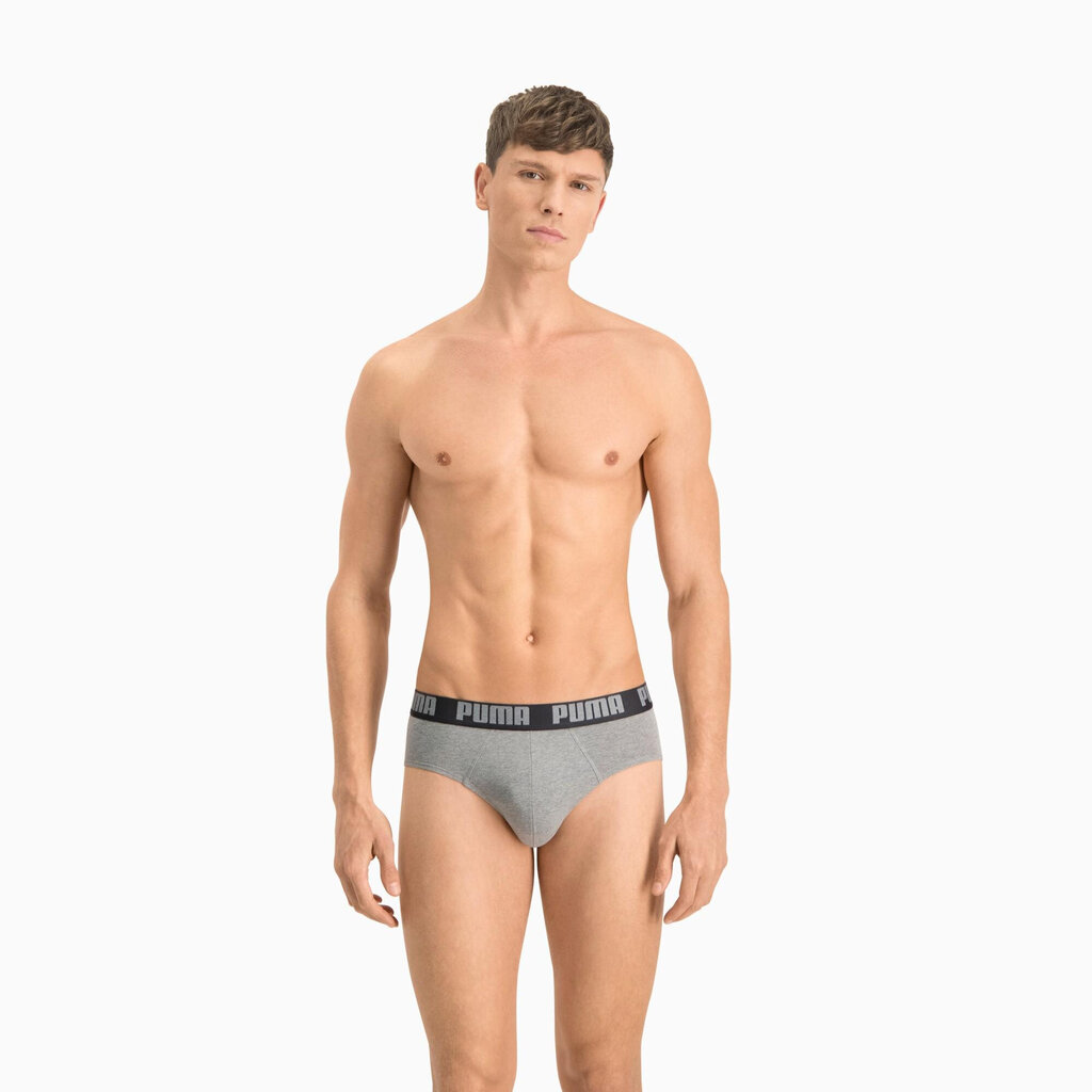 Puma Trikotāžas Apakšveļa Basic Brief Black Grey 889100 19 889100 19/S cena un informācija | Vīriešu apakšbikses | 220.lv