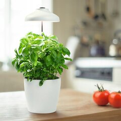 Grow Light 200 цена и информация | Проращиватели, лампы для растений | 220.lv