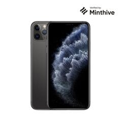 Б/у Apple iPhone 11 Pro Max 256 ГБ, класс А, серый цвет цена и информация | Мобильные телефоны | 220.lv