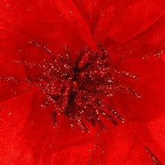 Ziemassvētku dekorācija - Magnolijas zieds цена и информация | Рождественские украшения | 220.lv