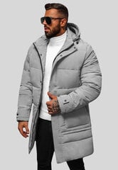Rosso Куртки Grey 31M5011/GREY 31M5011/GREY/50 цена и информация | Мужские куртки | 220.lv