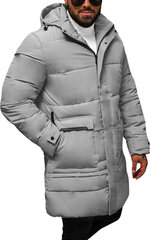 Rosso Куртки Grey 31M5011/GREY 31M5011/GREY/50 цена и информация | Мужские куртки | 220.lv