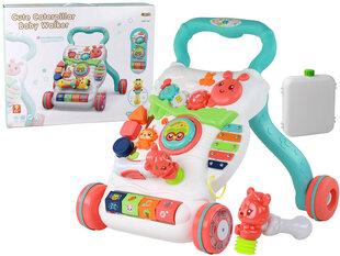 Daudzfunkcionāla stumjamā rotaļlieta Lean Toys cena un informācija | Rotaļlietas zīdaiņiem | 220.lv