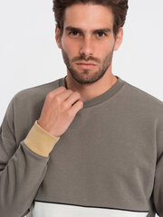 Džemperis vīriešiem Ombre Clothing, zaļš cena un informācija | Vīriešu jakas | 220.lv