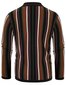 Vīriešu jaka Paul Jones, svītraina цена и информация | Vīriešu džemperi | 220.lv