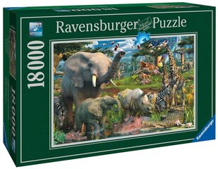 Пазл Ravensburger Джунгли, 18000 деталей цена и информация | Пазлы | 220.lv