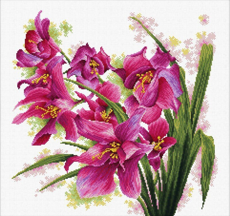 Izšūšanas komplekts Needleart World Orhidejas, 39x39 цена и информация | Izšūšanas piederumi | 220.lv