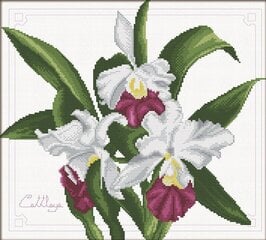 Набор для вышивки крестом Needleart World Букет орхидей, 33х29 цена и информация | Принадлежности для вышивания | 220.lv