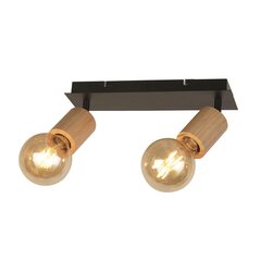 Searchlight griestu lampa Spinny 50211-2NA цена и информация | Потолочные светильники | 220.lv