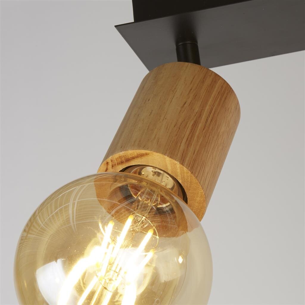 Searchlight griestu lampa Spinny 50211-2NA cena un informācija | Griestu lampas | 220.lv