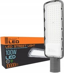 Ielas gaismeklis 100W, 1000 lm цена и информация | Уличное освещение | 220.lv