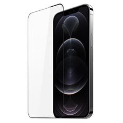 Dux Ducis Apple iPhone 15 Pro Max цена и информация | Защитные пленки для телефонов | 220.lv