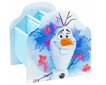 Grāmatu plaukts Disney Frozen, 39.5x39.5x35cm cena un informācija | Plaukti bērnu istabai | 220.lv