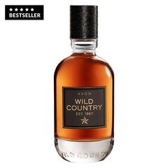 Подарочный набор для мужчин Wild Country, Avon цена и информация | Мужская парфюмированная косметика | 220.lv