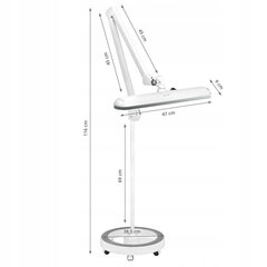 Darbnīcas lampa Elegante 801-l ar statīvu intensitāte reg. balta cena un informācija | Stāvlampas | 220.lv