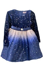 Нарядное платье для девочек,  синее цена и информация | Платья для девочек | 220.lv