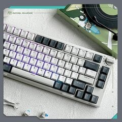 Royal Kludge RH81 белая беспроводная механическая клавиатура | 75%, Hot-swap, RGB, Blue Switches, US цена и информация | Клавиатуры | 220.lv