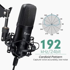 Panamalar USB PC Microphone Microphone Superemption, набор микрофона конденсаторного микрофона 192 кГц/24 бит с микрофонной защитой от микрофона, микрофон студийного подкаста для выстрелов/радио/игр PS4/Livestream/Vlog цена и информация | Микрофоны | 220.lv