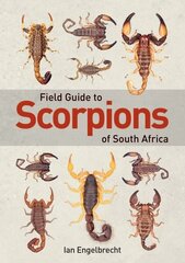 Field Guide to Scorpions of South Africa цена и информация | Книги о питании и здоровом образе жизни | 220.lv
