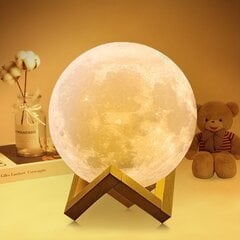LED Galda lampa "Ievas mēness" cena un informācija | Galda lampas | 220.lv