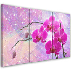 Печать холста, дзен орхиды 39,99 цена и информация | Картины | 220.lv