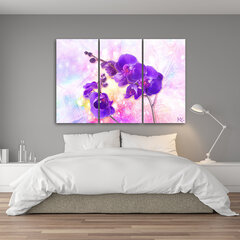 Glezna uz audekla, Violeta orhideja cena un informācija | Gleznas | 220.lv