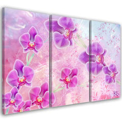 Glezna uz audekla, Orhidejas cena un informācija | Gleznas | 220.lv