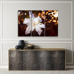 Glezna uz audekla, Baltā lilija cena un informācija | Gleznas | 220.lv