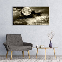 Reprodukcija Nakts Mēness ainava cena un informācija | Gleznas | 220.lv