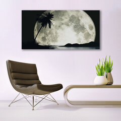 Reprodukcija Nakts mēness palmu ainava cena un informācija | Gleznas | 220.lv