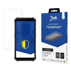 Pocketbook Inkpad X - 3mk FlexibleGlass™ 11'' screen protector цена и информация | Защитные пленки для телефонов | 220.lv