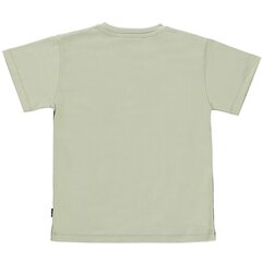 Детская футболка Molo Rasmus цена и информация | Рубашки для мальчиков | 220.lv