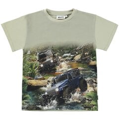 Детская футболка Molo Rasmus цена и информация | Рубашки для мальчиков | 220.lv
