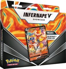 Kortos Pokemon Infernape V Showcase Box, EN цена и информация | Настольная игра | 220.lv
