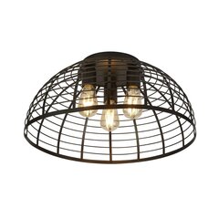 Searchlight griestu lampa Vision Cage 85981-3BK cena un informācija | Griestu lampas | 220.lv