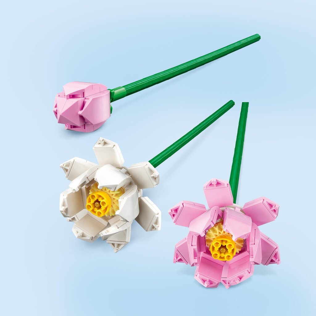 40647 LEGO® Iconic Lotosa ziedi цена и информация | Konstruktori | 220.lv