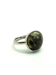 Серебряное кольцо с янтарем, Amber Storm цена и информация | Кольца | 220.lv