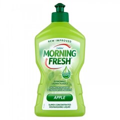 Trauku mazgāšanas līdzeklis Morning Fresh Apple, 450ml, ābolu smarža cena un informācija | Trauku mazgāšanas līdzekļi | 220.lv