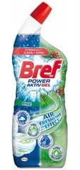 Želejas tualetes tīrīšanas līdzeklis Bref Power Aktiv Pine, 700ml cena un informācija | Tīrīšanas līdzekļi | 220.lv