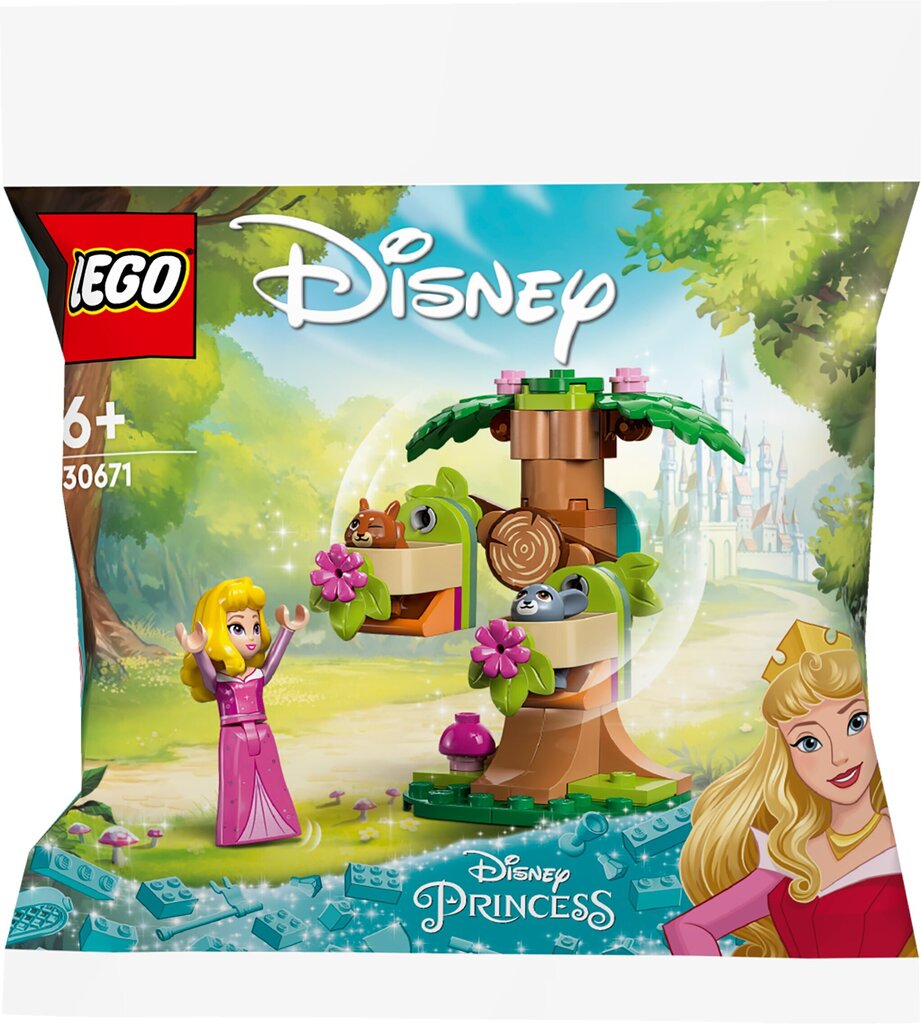 30671 LEGO® Disney Aurora meža rotaļu laukums cena un informācija | Konstruktori | 220.lv